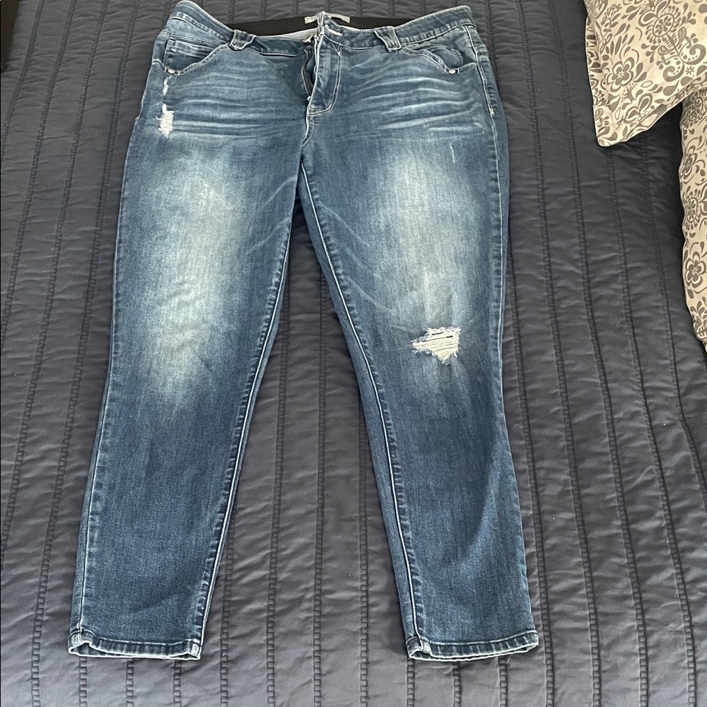 Wit & Wisdom Blue Distressed Skinny Jeans